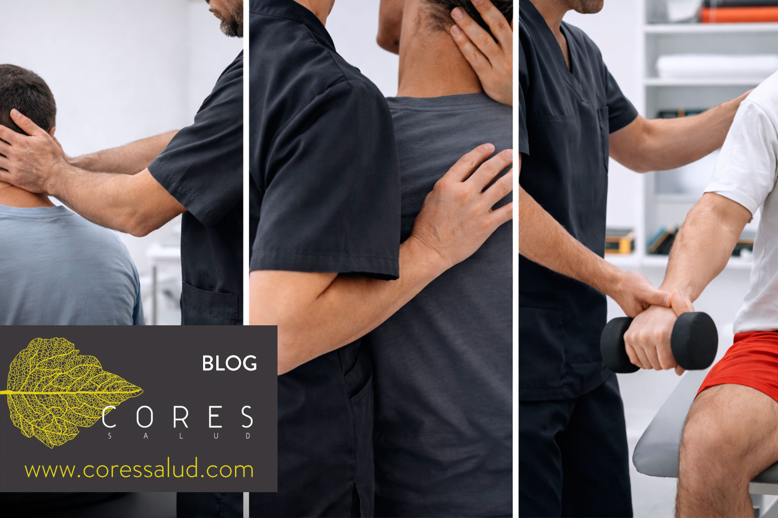 Diferencias entre fisioterapia, osteopatía y ejercicio terapéutico